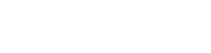 НСПУ